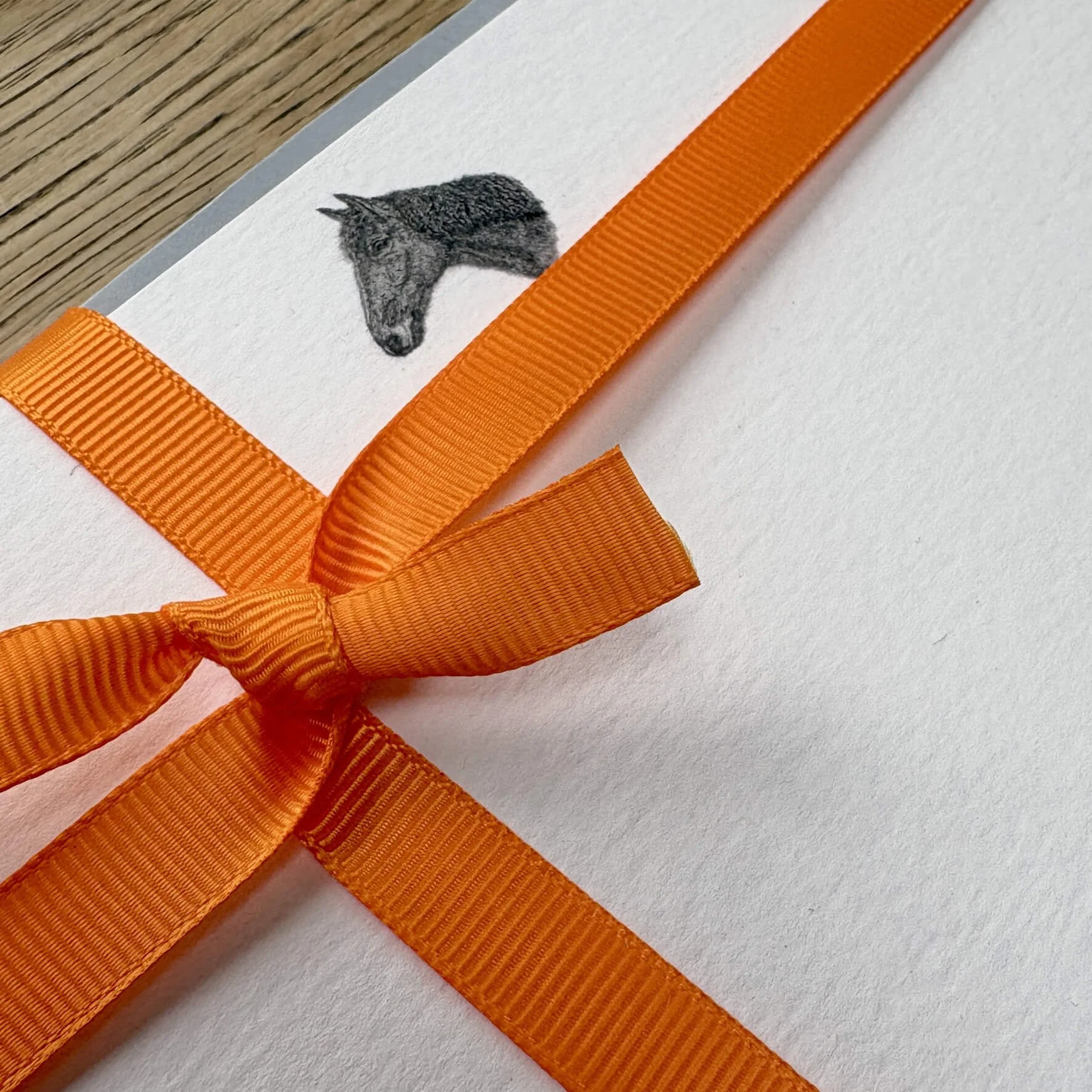 Oscar_horse_correspondence_card_pack_3.jpg