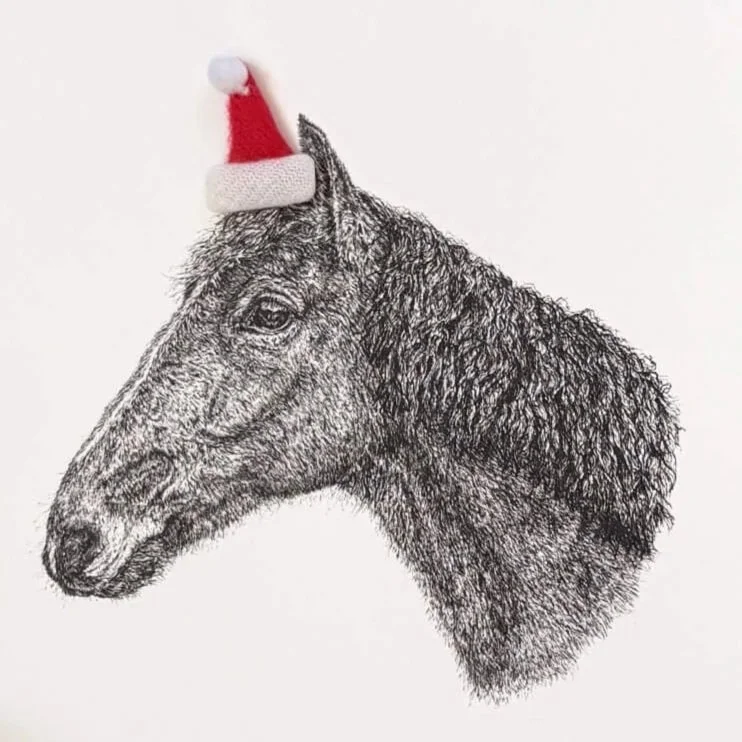 Chirstmas_card_horse_santa_hat.jpg