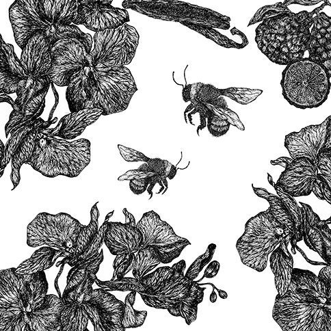 Orchid_Bergamot_Square_low.jpg