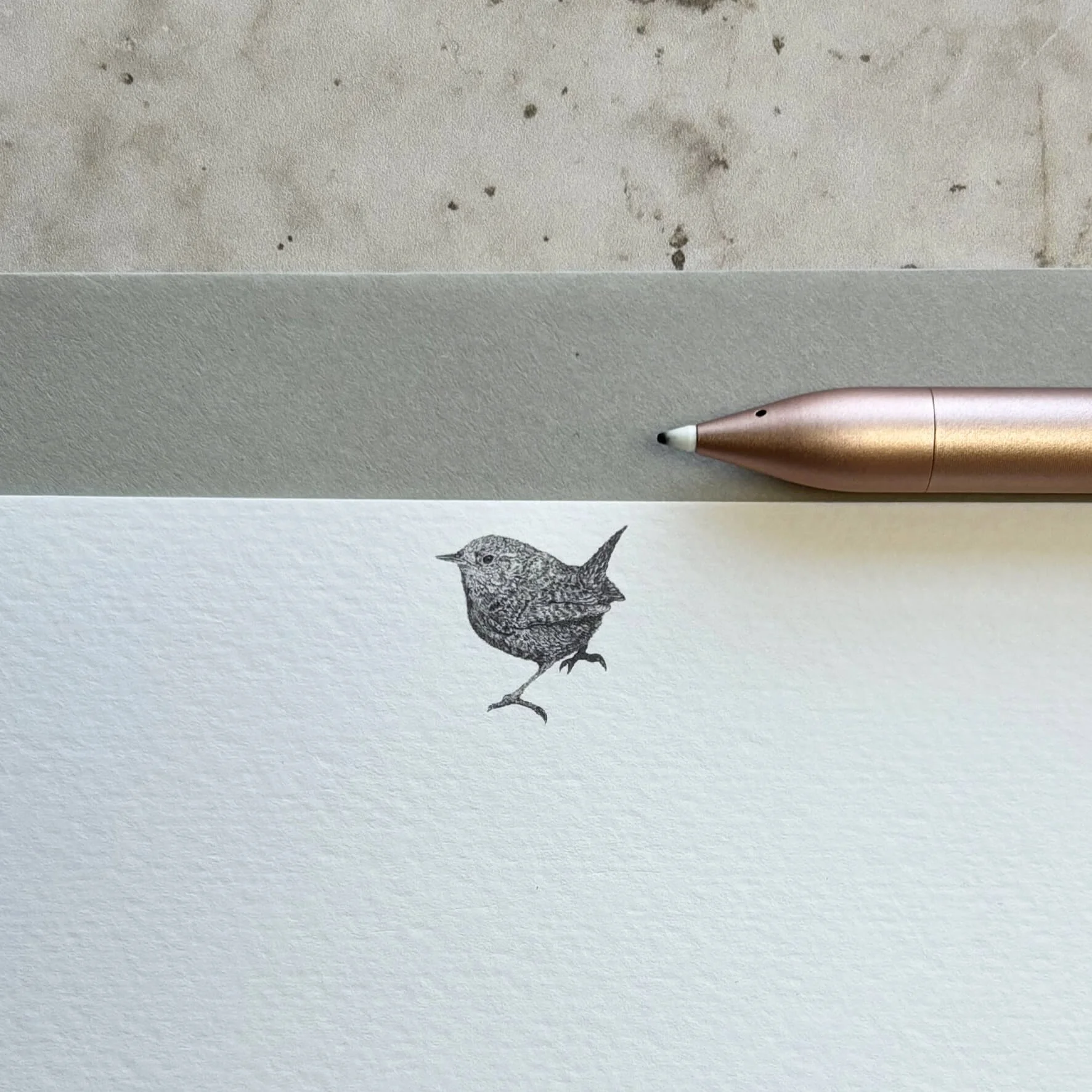 Beastie_Correspondence_card_wren_close.jpg