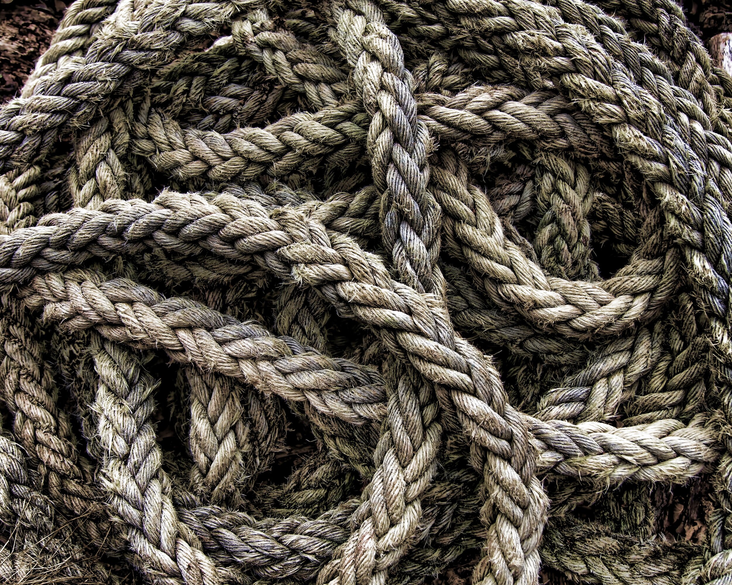 Tangled: a facet of prayer