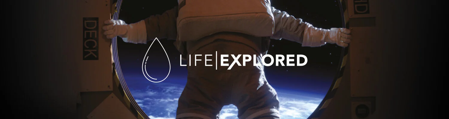lifeX_03.jpg