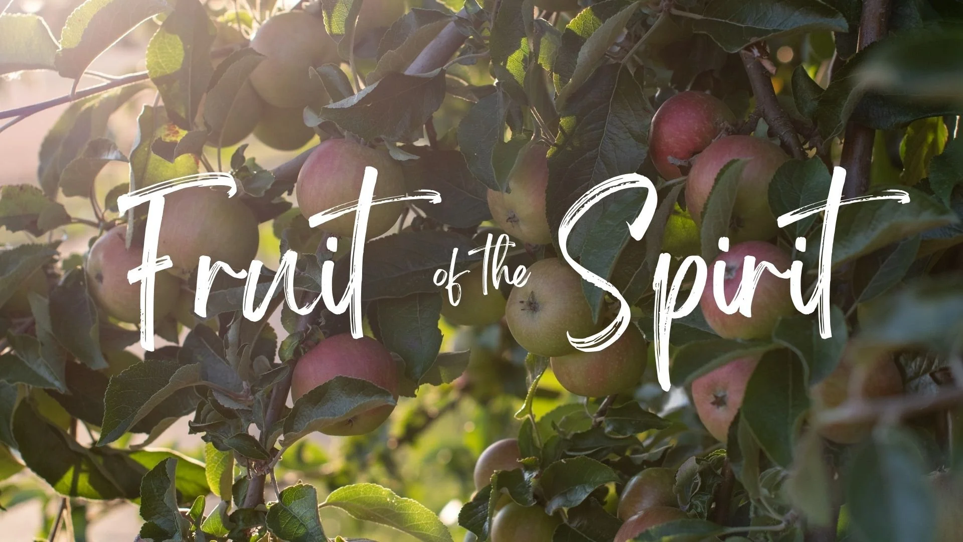 Fruit of the Spirit
