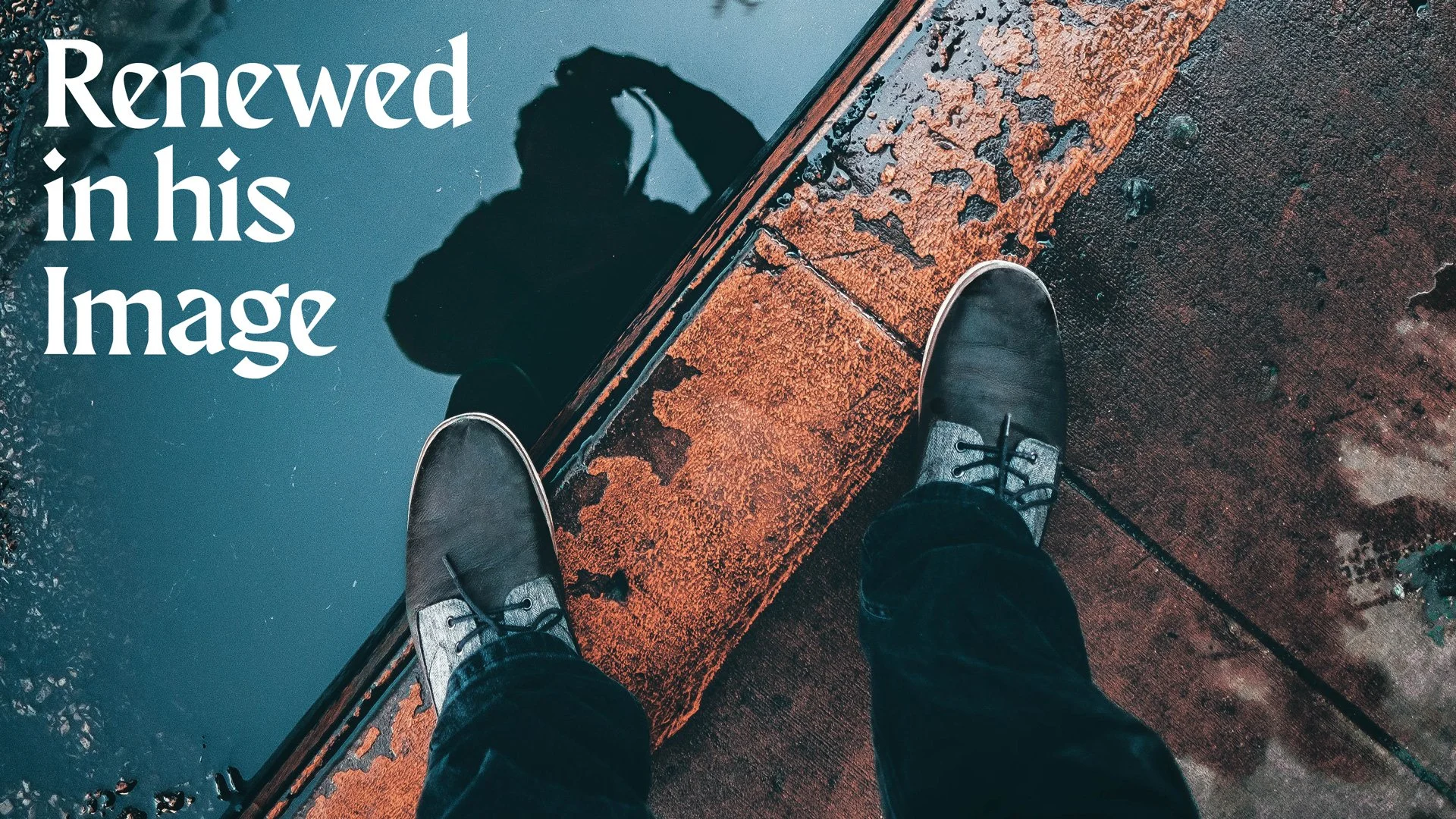 Renewed in his image