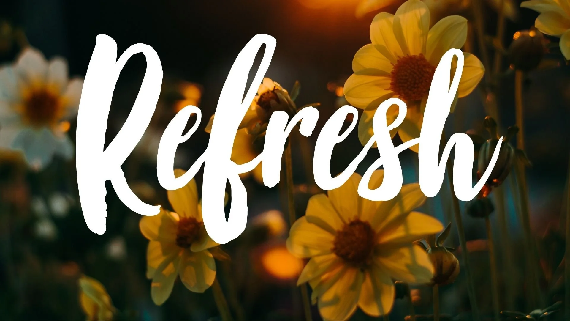 Refresh Women's Conference 2023