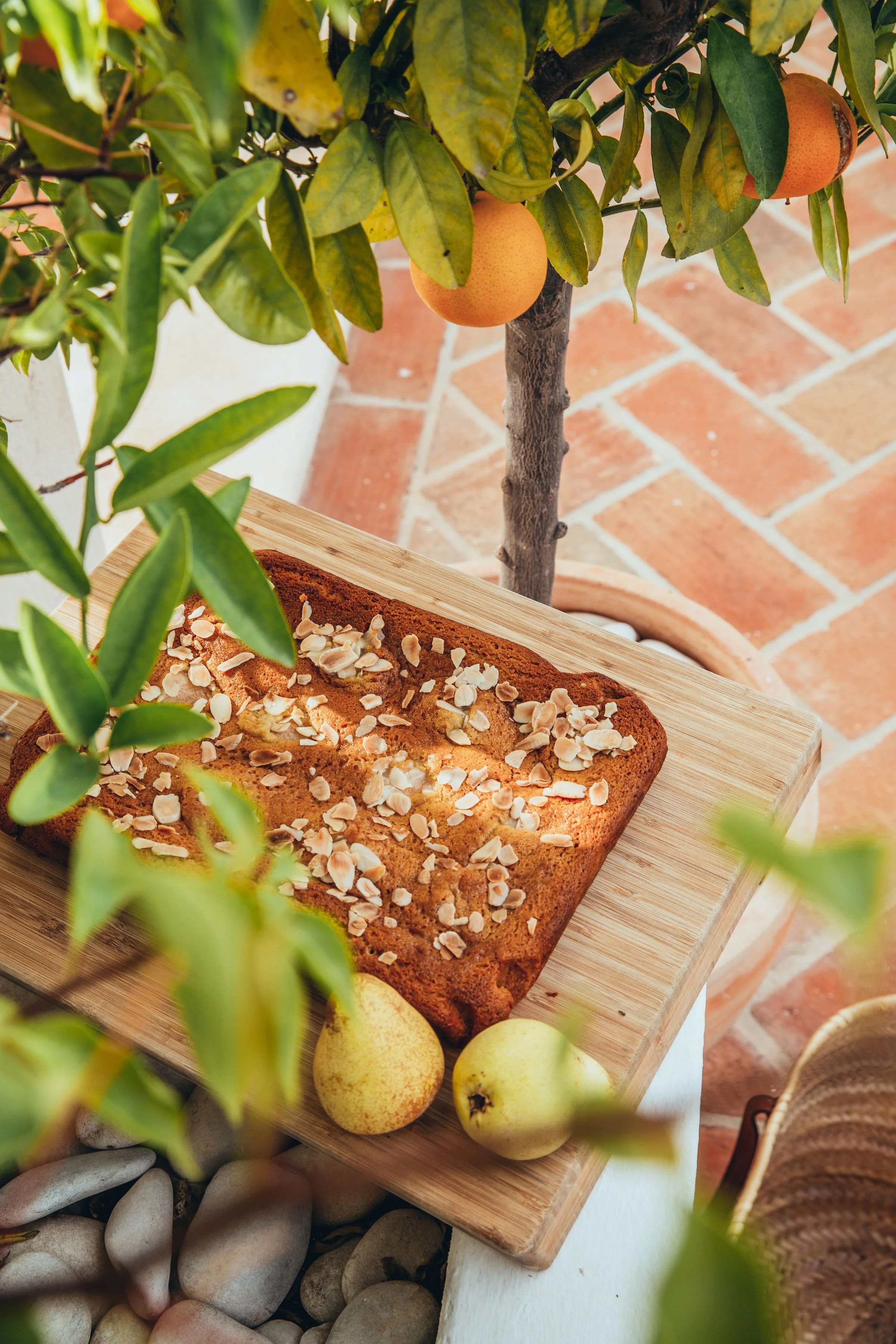 plant-based-food-retreat-2022-4.jpg
