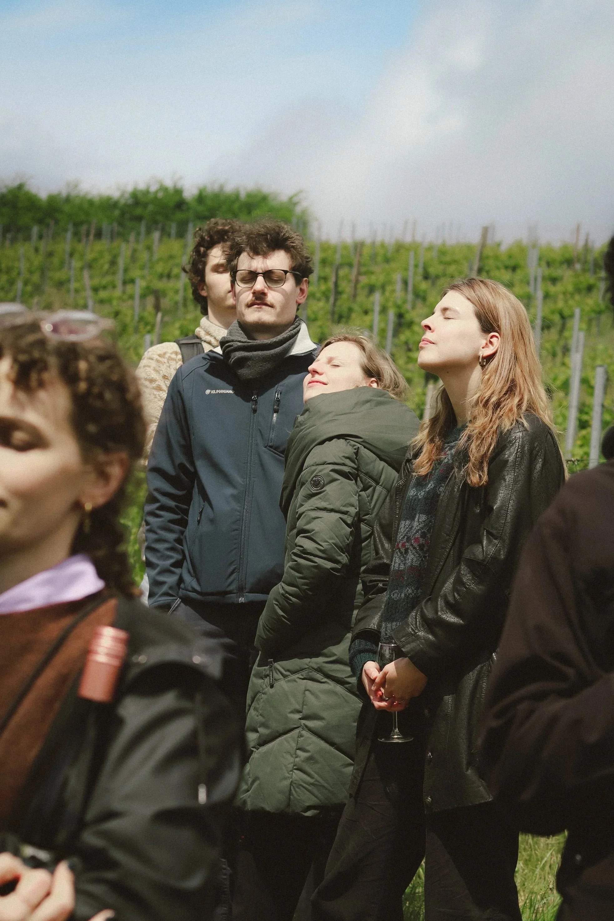 Quelle Surprise Events Vienna Wien Veranstaltungen Surprises Überraschungen Storytelling Gifts Celebrations Spring Awakening Vineyards Wine Freigut Thallern


