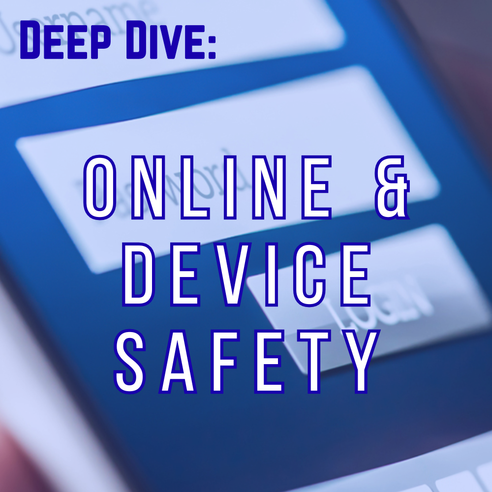 Online & Device Safety.png