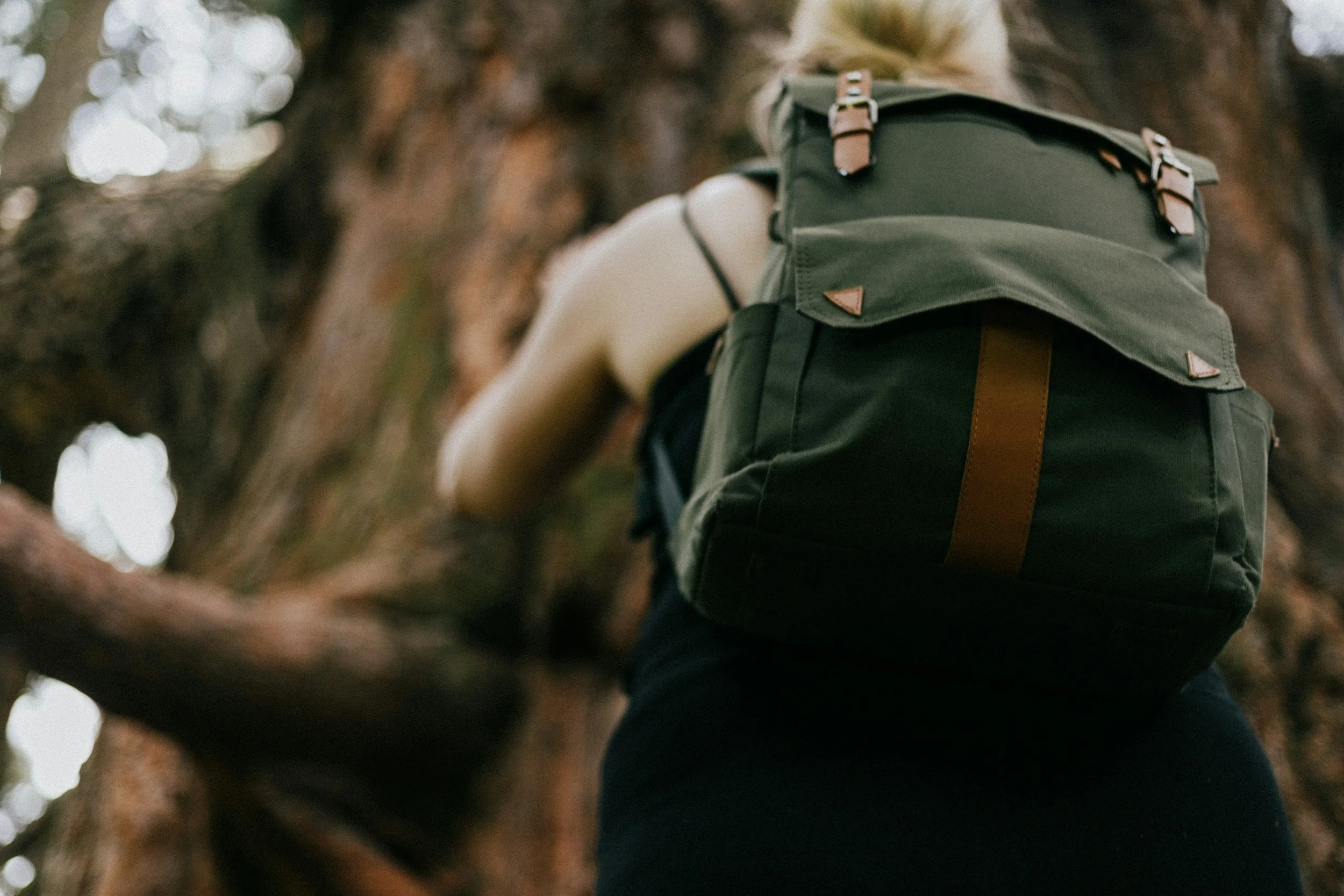 Book Excerpt: Chapter 84 - Three Kinds of Go Bags