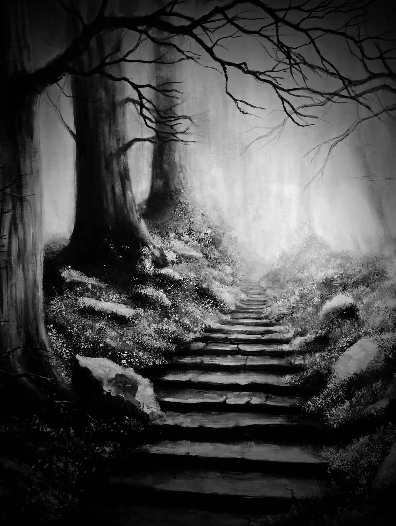 EXPO - “Vanuit de Schaduw” - Baar van Nieuwerburgh