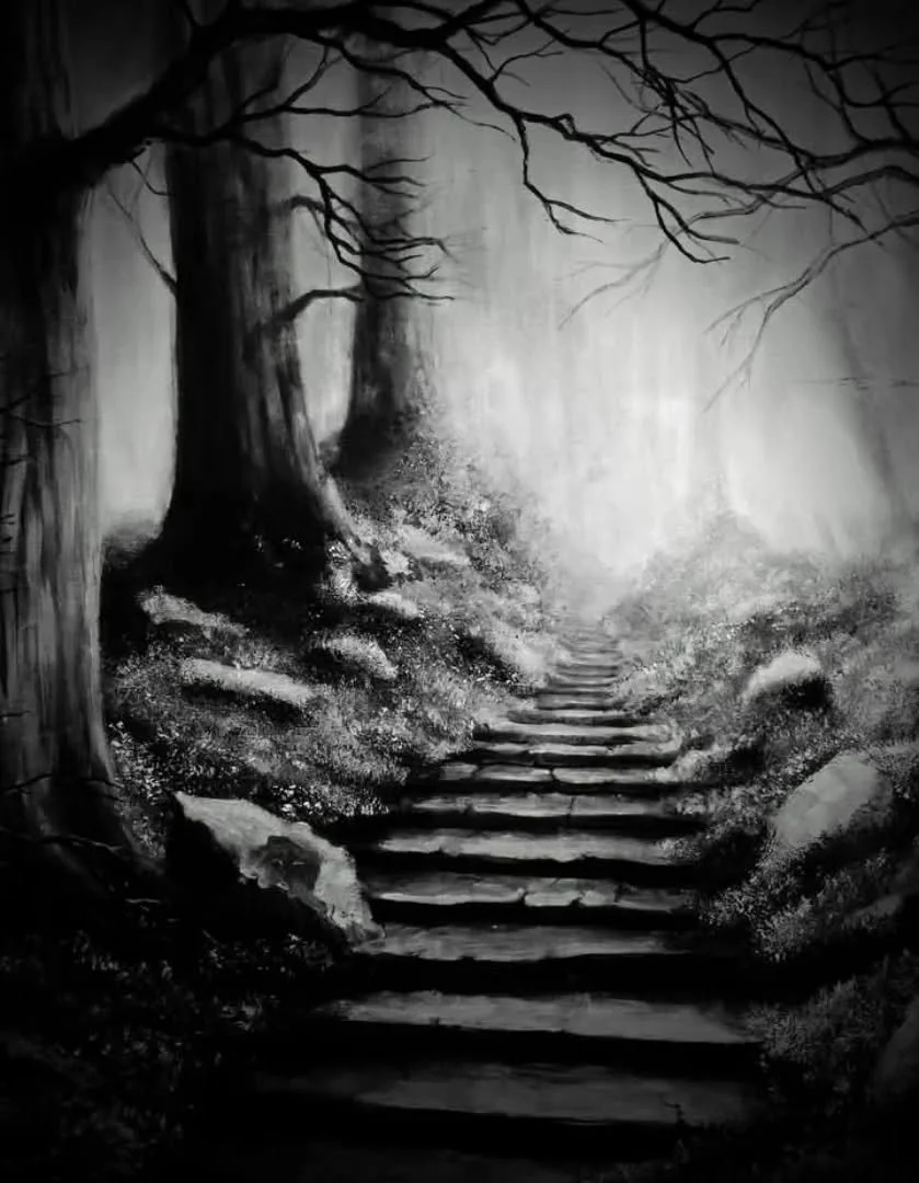 "Vrij om in de barre nacht van morgen te verdwalen met oude ogen die grijs naar kleur vertalen."

Baar van Nieuwerburgh zoekt de schoonheid van het donker. Zijn werk is een dieptestudie van schaduwen, die hij laat spreken of juist zwijgen. 