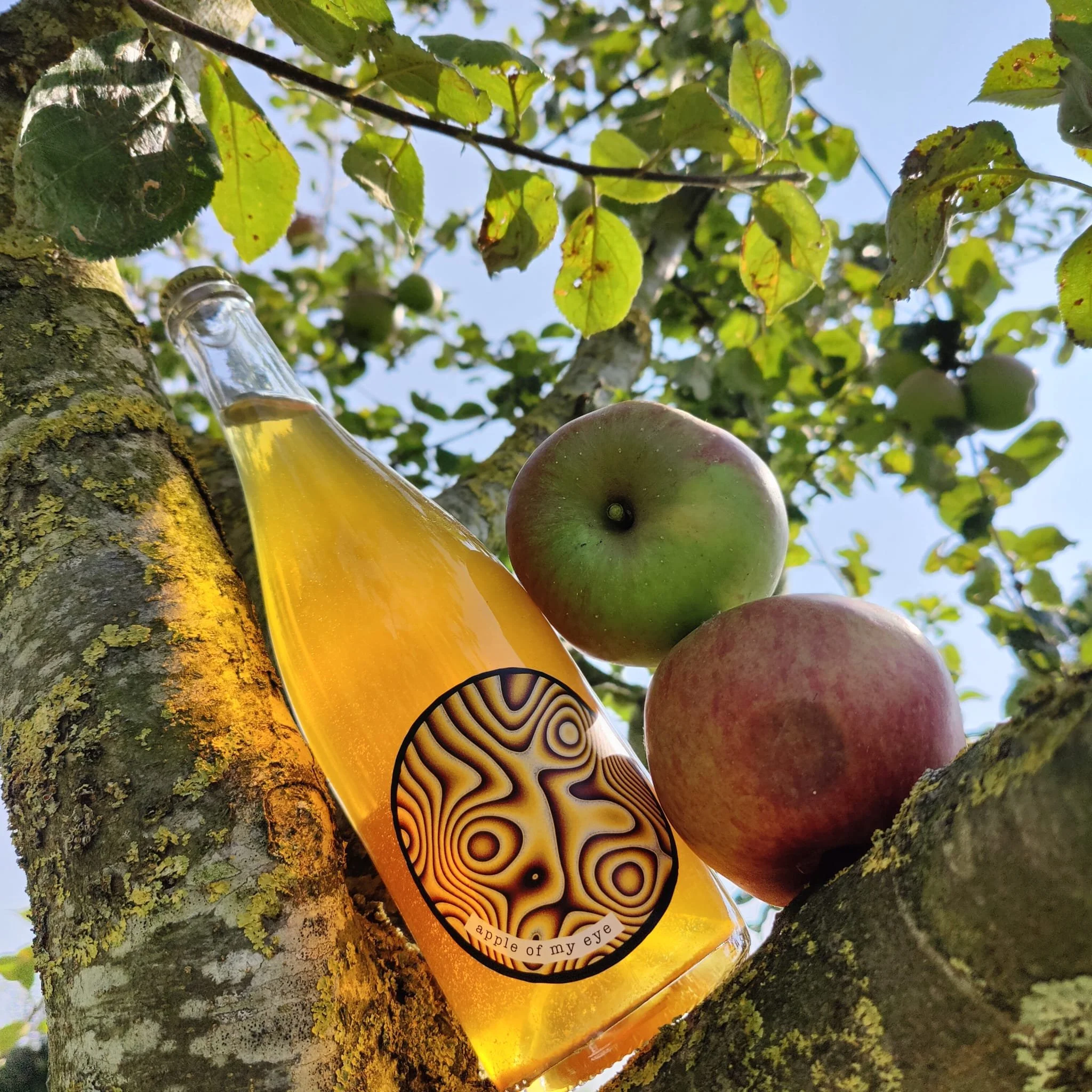 De Mederie — Artisanale mede en ciders