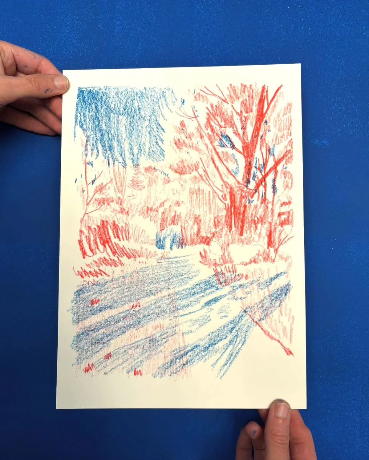 Studio Vitrine — Riso art prints