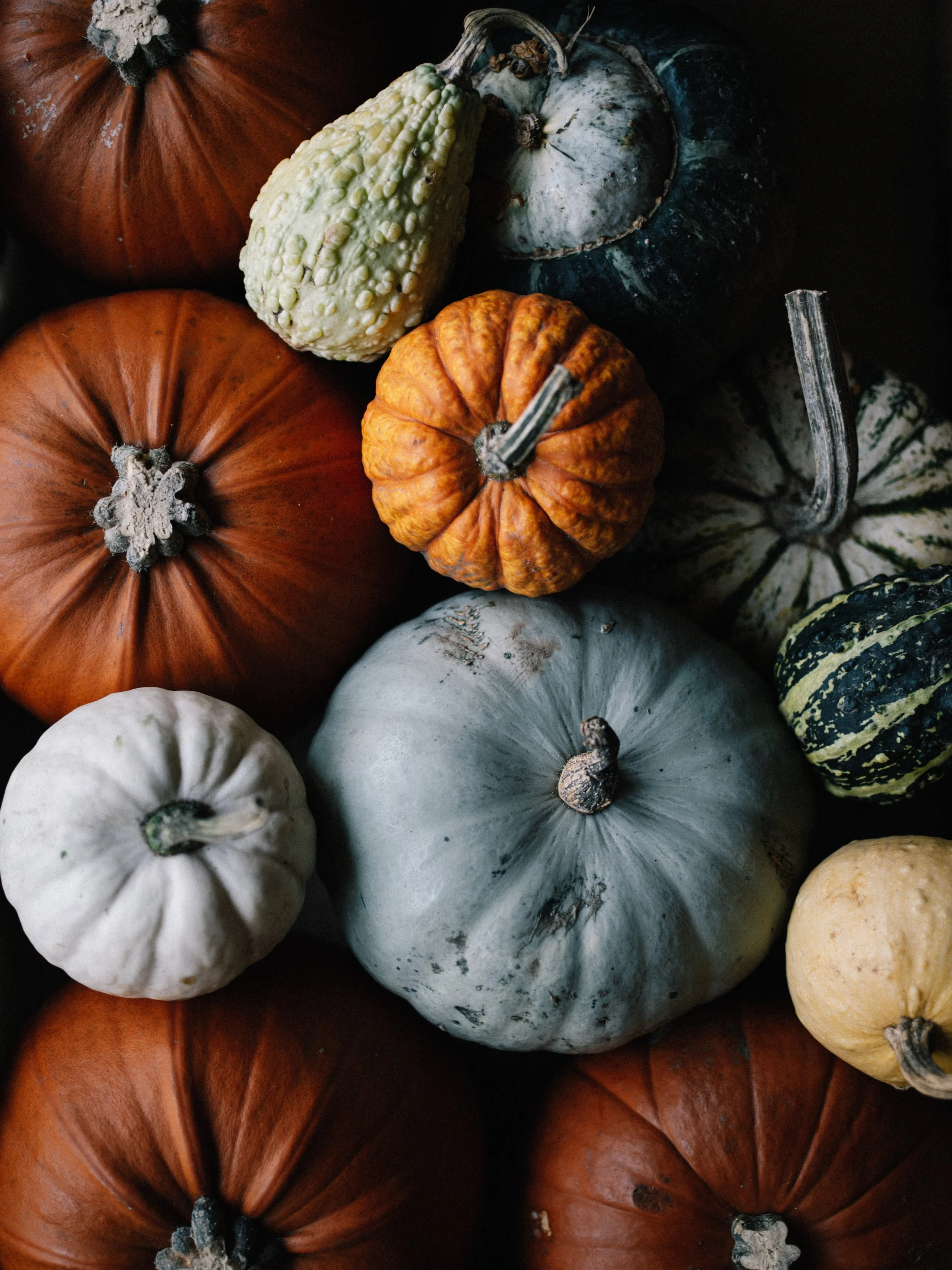 5 Tips To Dodge Holiday Weight Gain