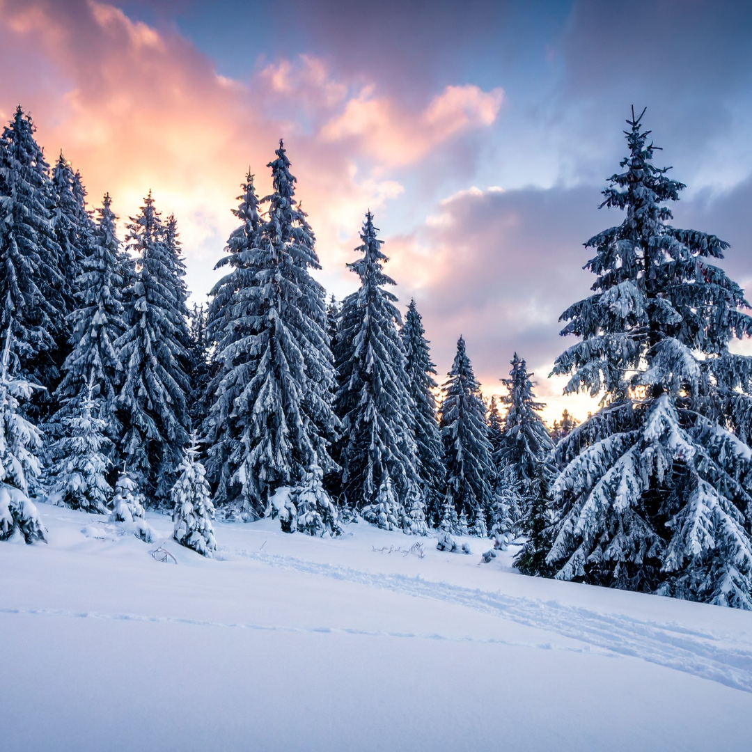 Why Deep Winter Is Not the Time to Push (Especially for Women Over 40)