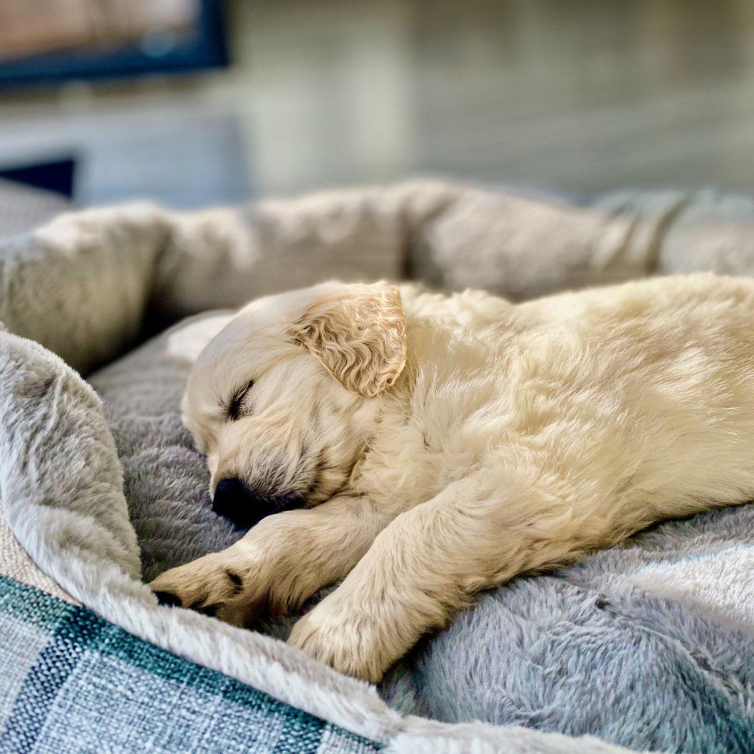 Why Sleep Impacts Weight Loss More After 40 (And Why Ignoring It Keeps You Stuck)