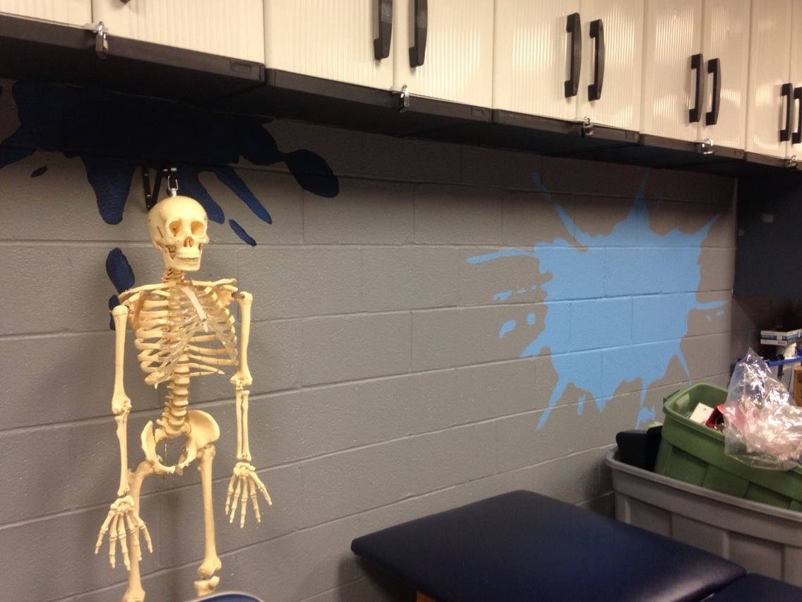 FP SBHS splat.jpeg