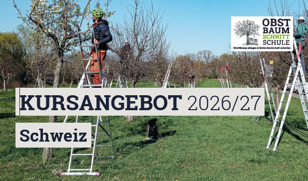 Einführungskurse Obstbaumschnitt 2026/2027