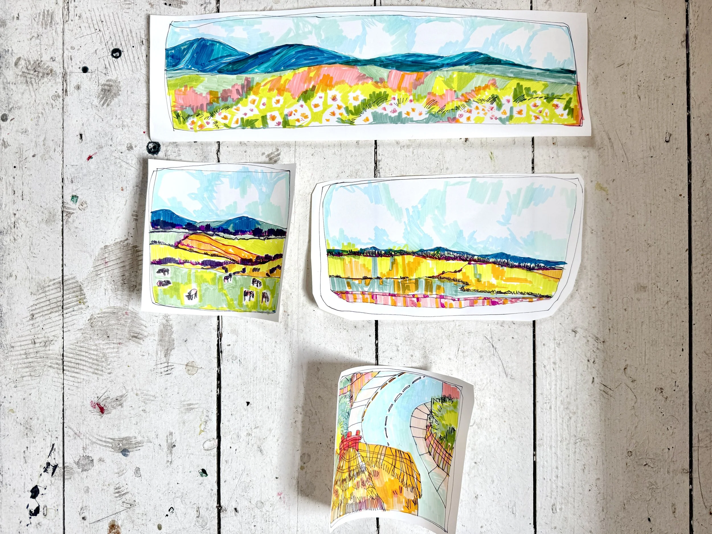 Train Windows from Cork to Killeagh, Ireland