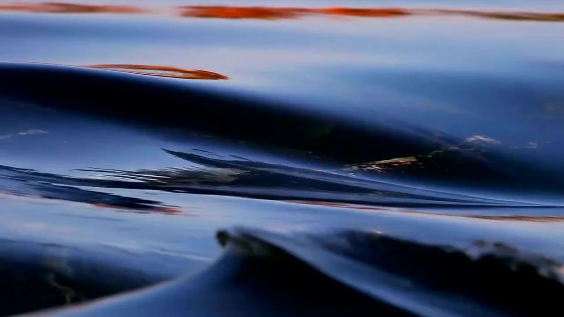 intro video 8 still.jpg