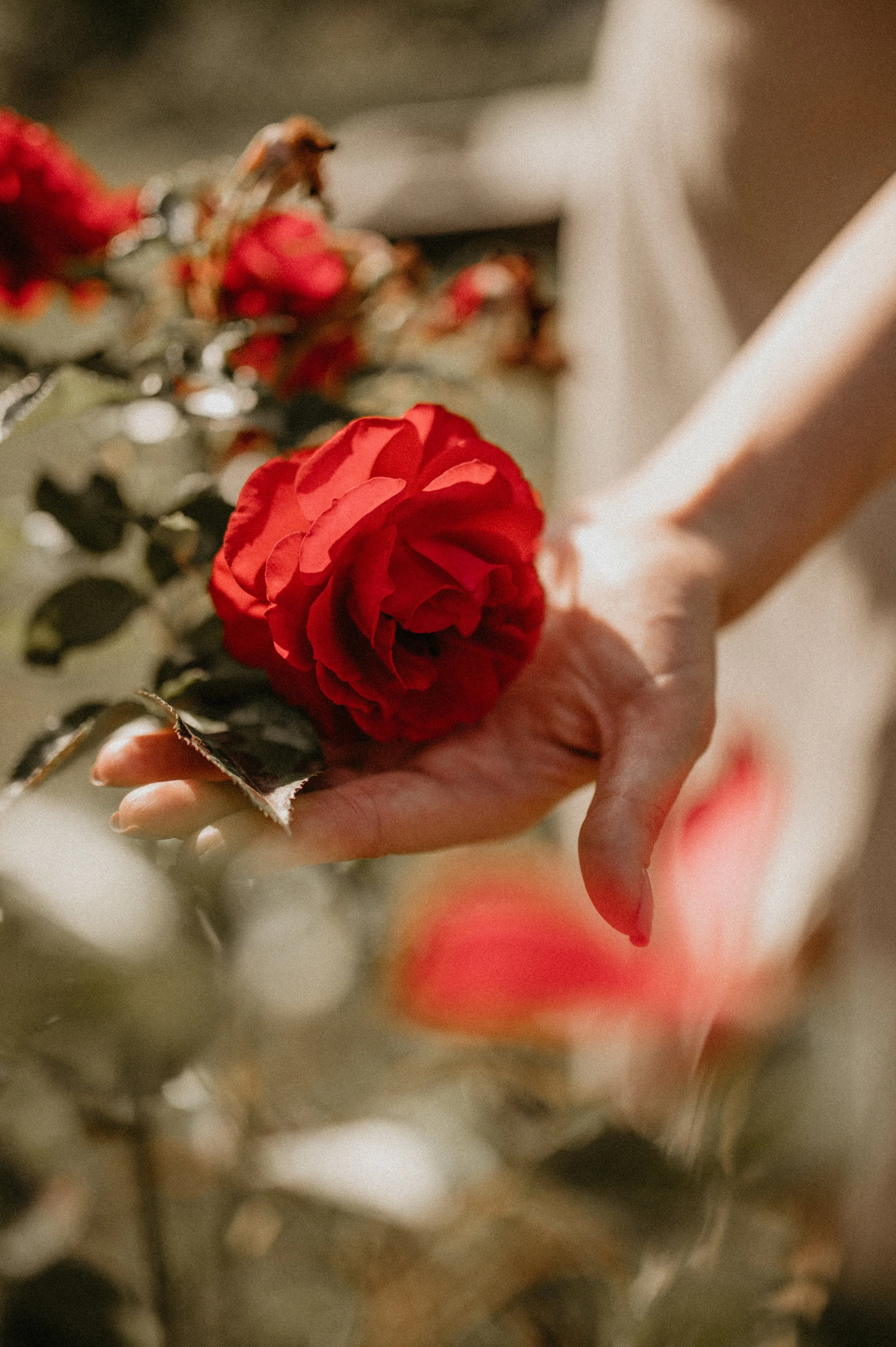 Wie Sex Coaching bei Vaginismus helfen kann