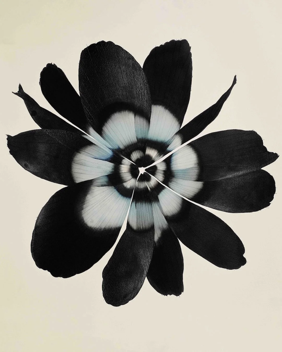 Inspiring art. The expressive lines and colors of Stephen Doherty echo our vision of nature.
Flowers, interpreted by artists, became the starting point for the whole collection.
.
.
#stephendoherty