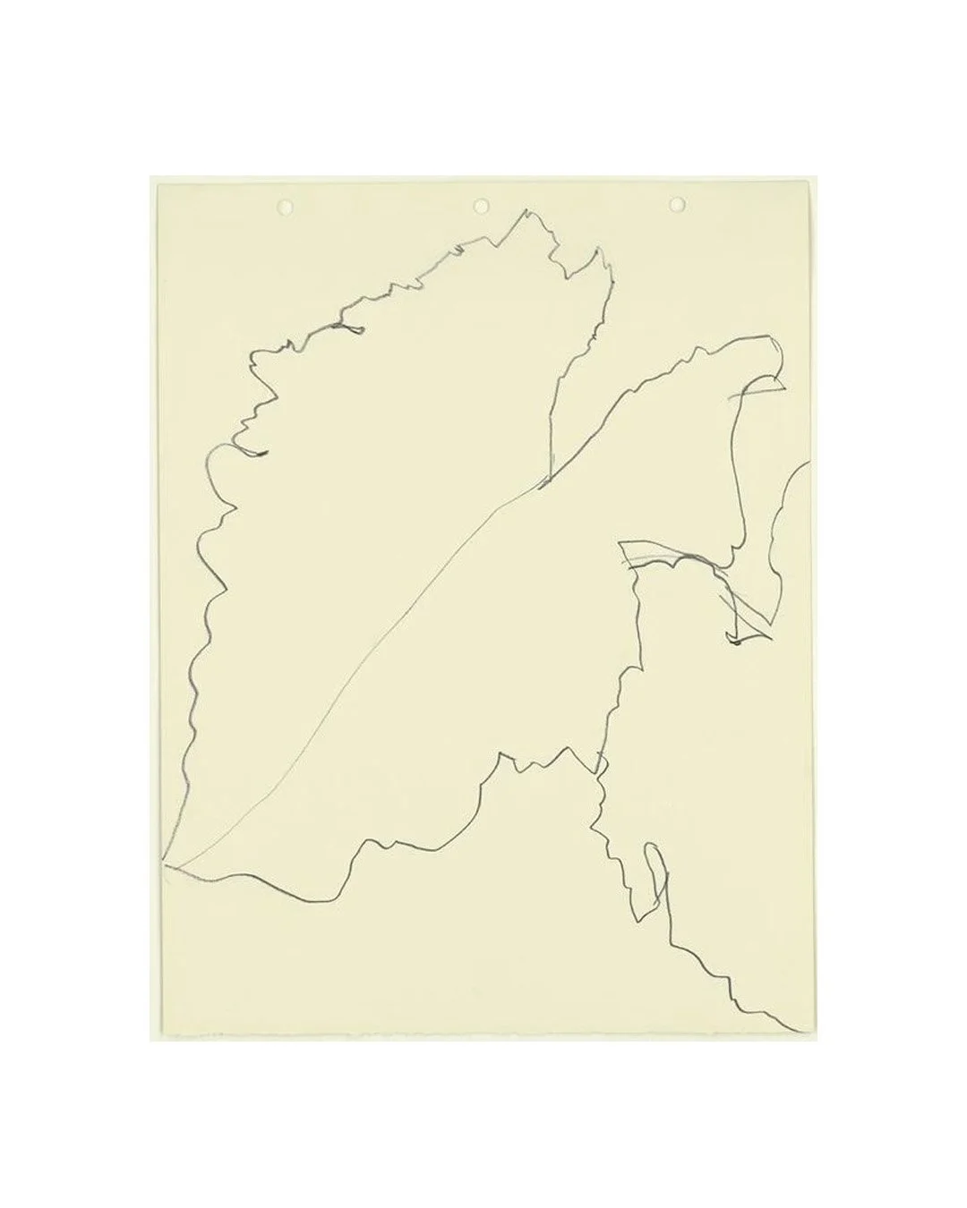 inspirational drawings
* Ellsworth Kelly - Burdock, pencil on paper.
* Ellsworth Kelly - Woodland Plant, 1979.