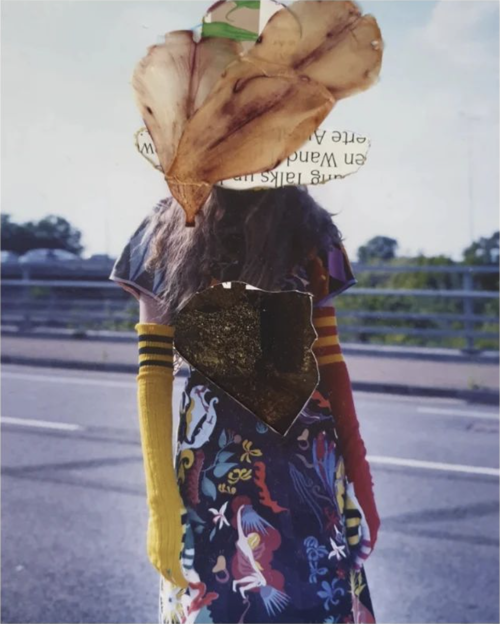 Mixed media collage paper & dried flowers, 2023