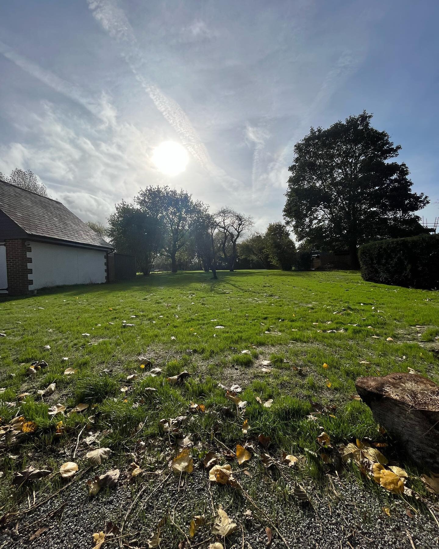 Our last seeding job of the year 10 days apart! We will be back here in the spring to improve this and the rest of the lawn! @stephenbacontreeservices