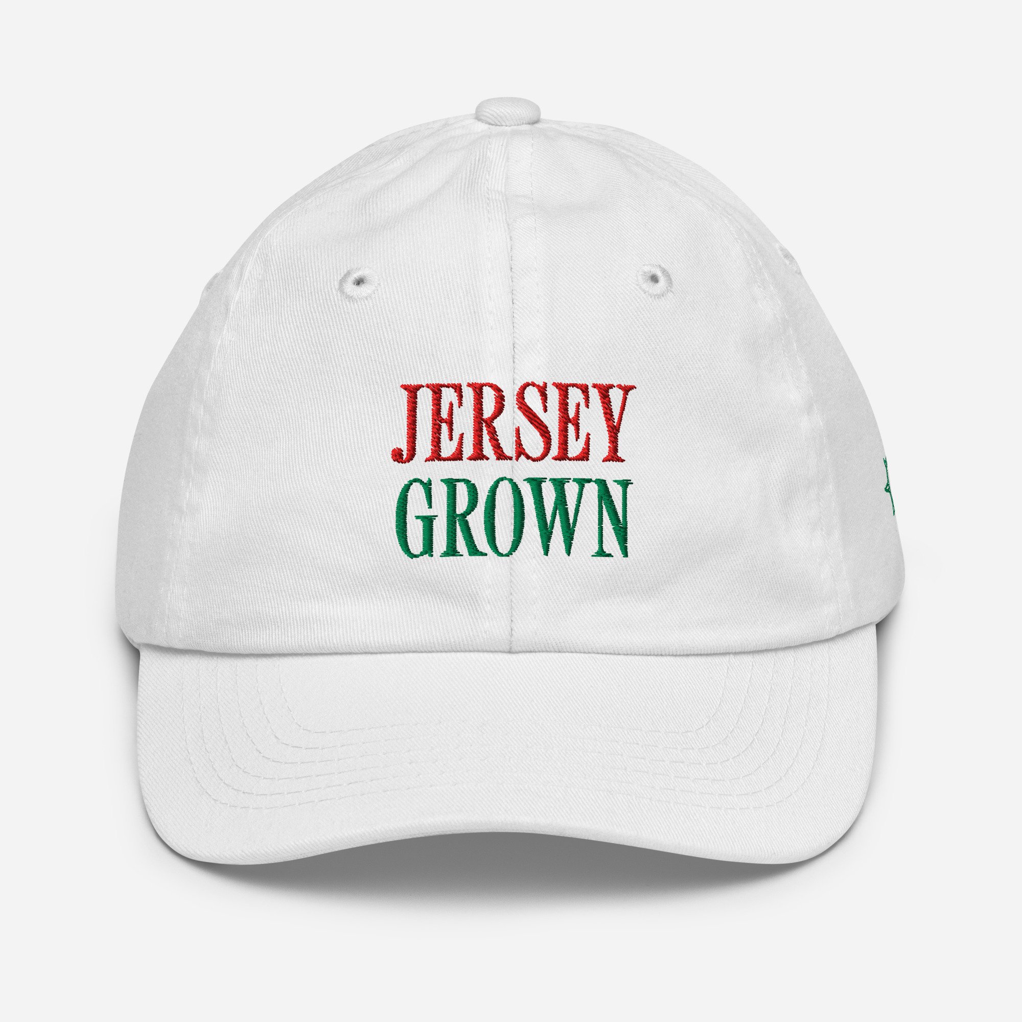 youth-baseball-cap-white-front-688abb5438e90.jpg