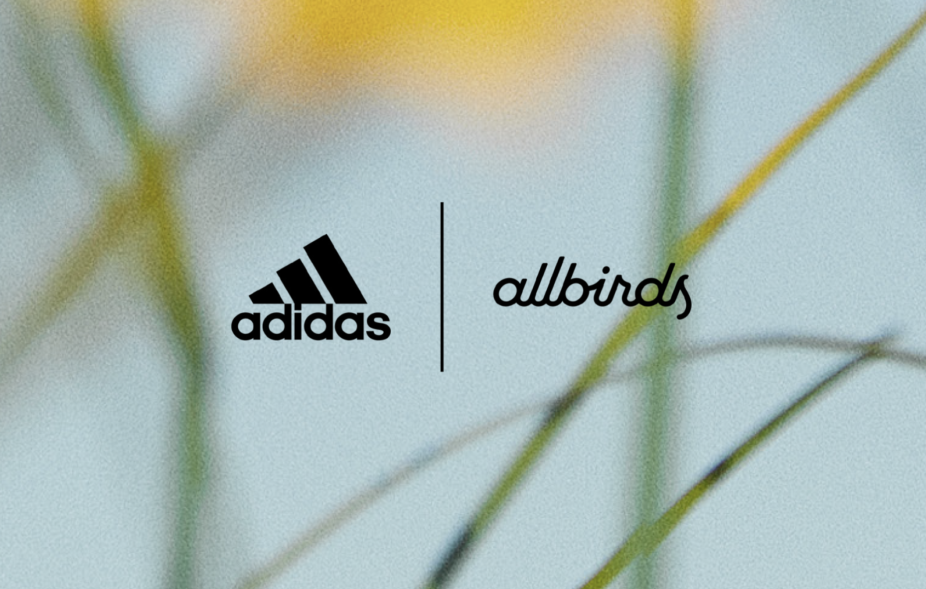 allbirds logo png