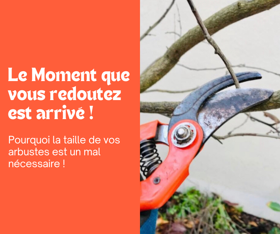 Pour la taille de vos arbustes est nécessaire