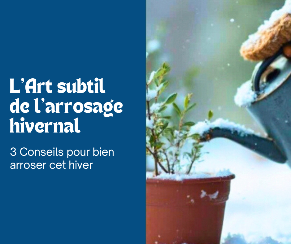 L’Arrosage hivernal : un art subtil et délicat