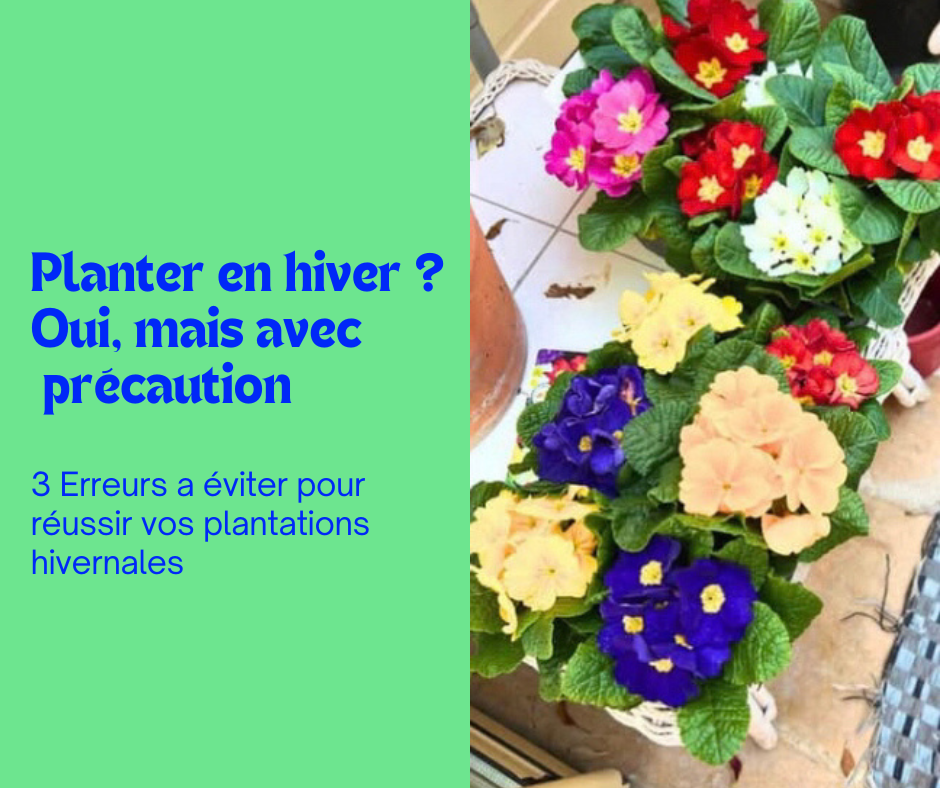 Planter en hiver… oui, mais avec précaution !