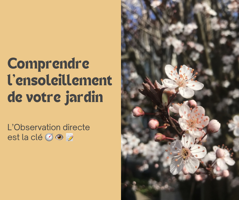 Comprendre l’exposition de votre jardin 