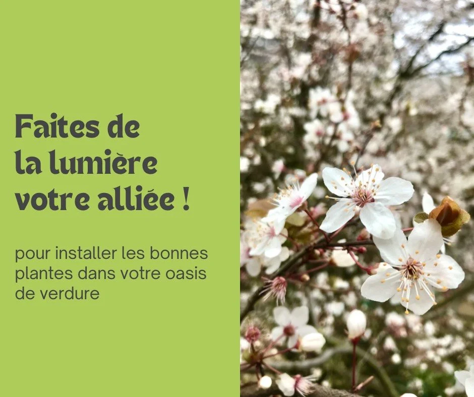 Concevoir son jardin avec la lumière 