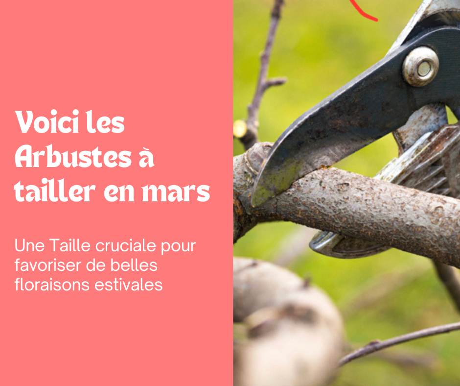 Les Tailles du mois de mars