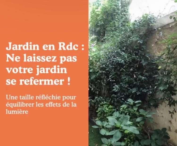 Jardin en Rez-de-chaussée : ne laissez pas votre jardin se refermer