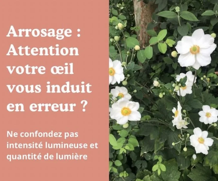 Le Critère crucial pour l’arrosage estival 