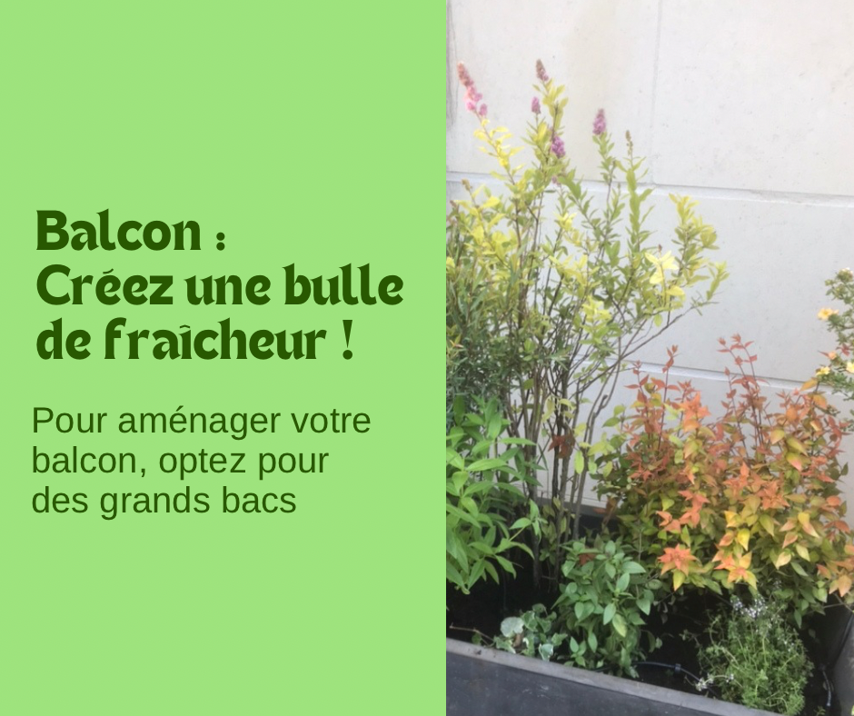 Balcon :  créez une bulle de fraîcheur !
