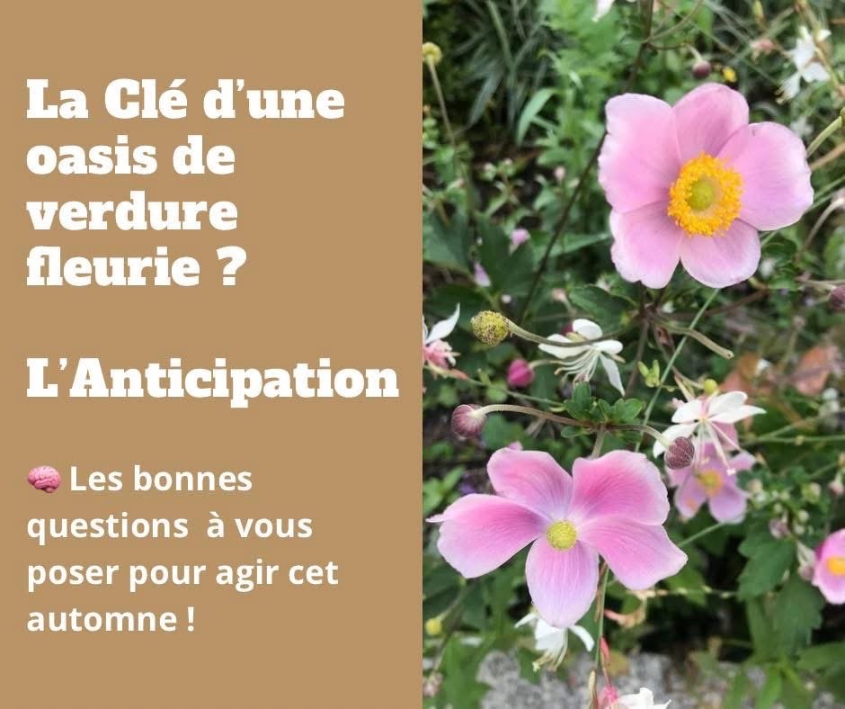 Anticipez vos plantations pour ne pas être pris de court 