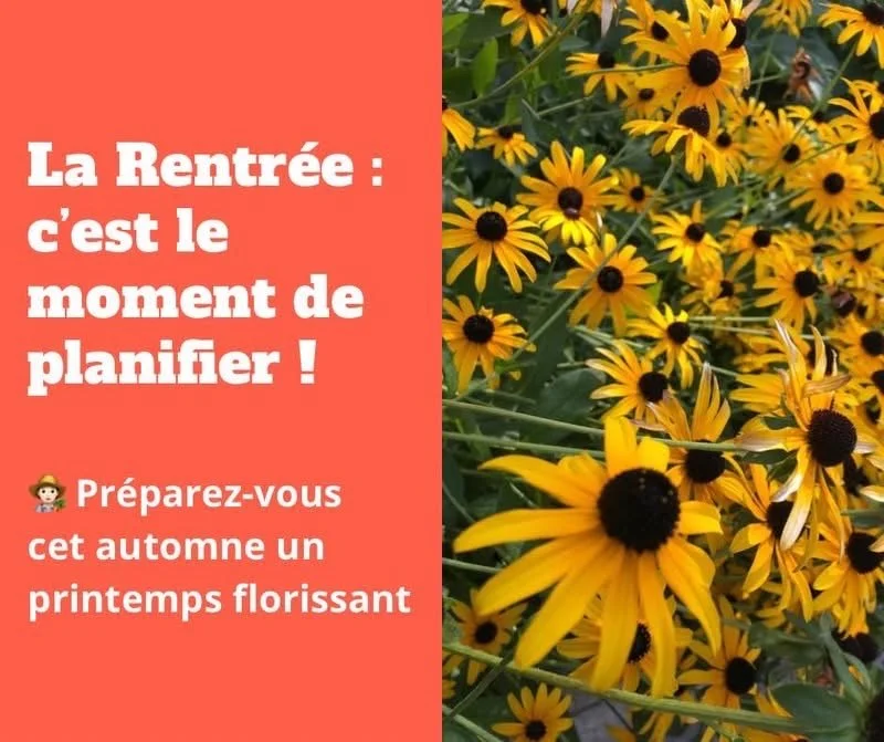 La Rentrée, c’est le moment de planifier 