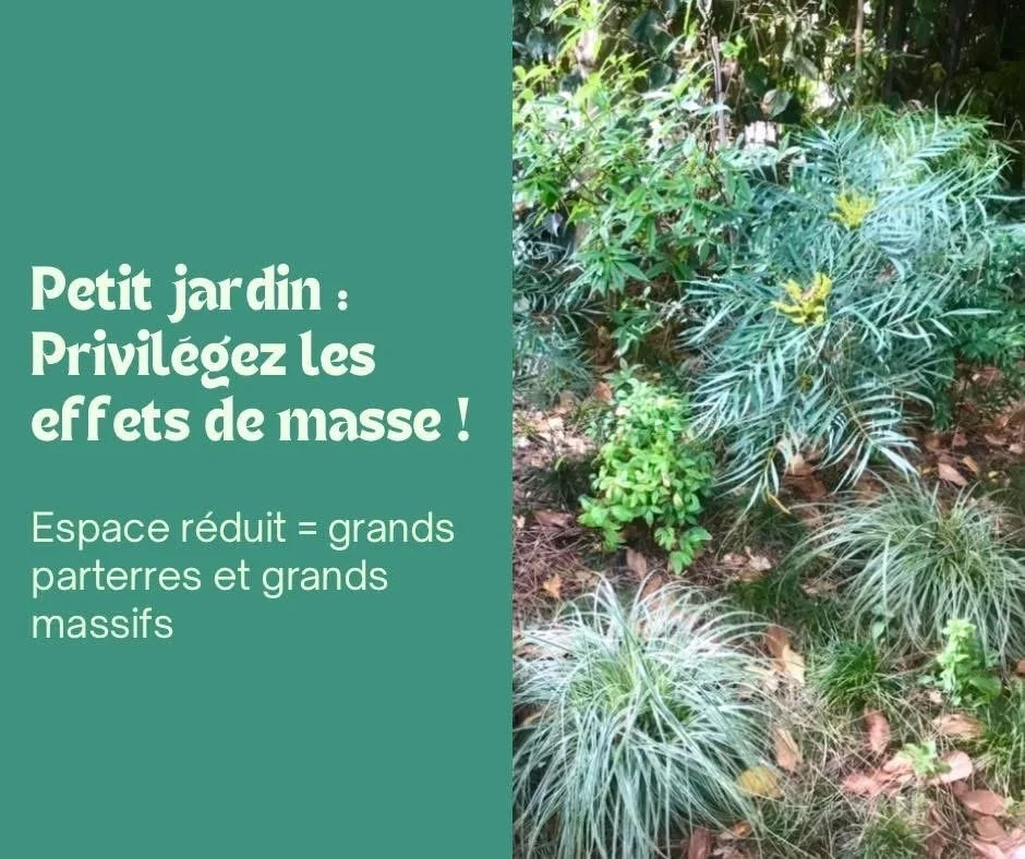 Petits espaces : privilégiez les effets de masse !