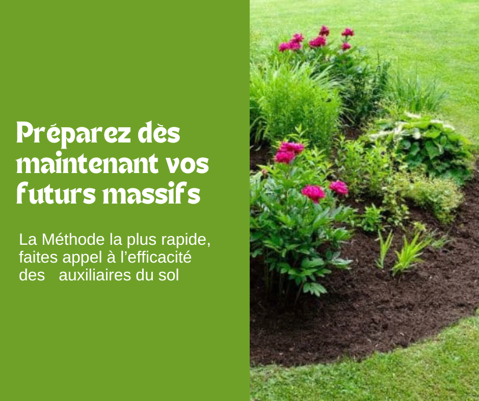 Préparez vos massifs dès cet automne