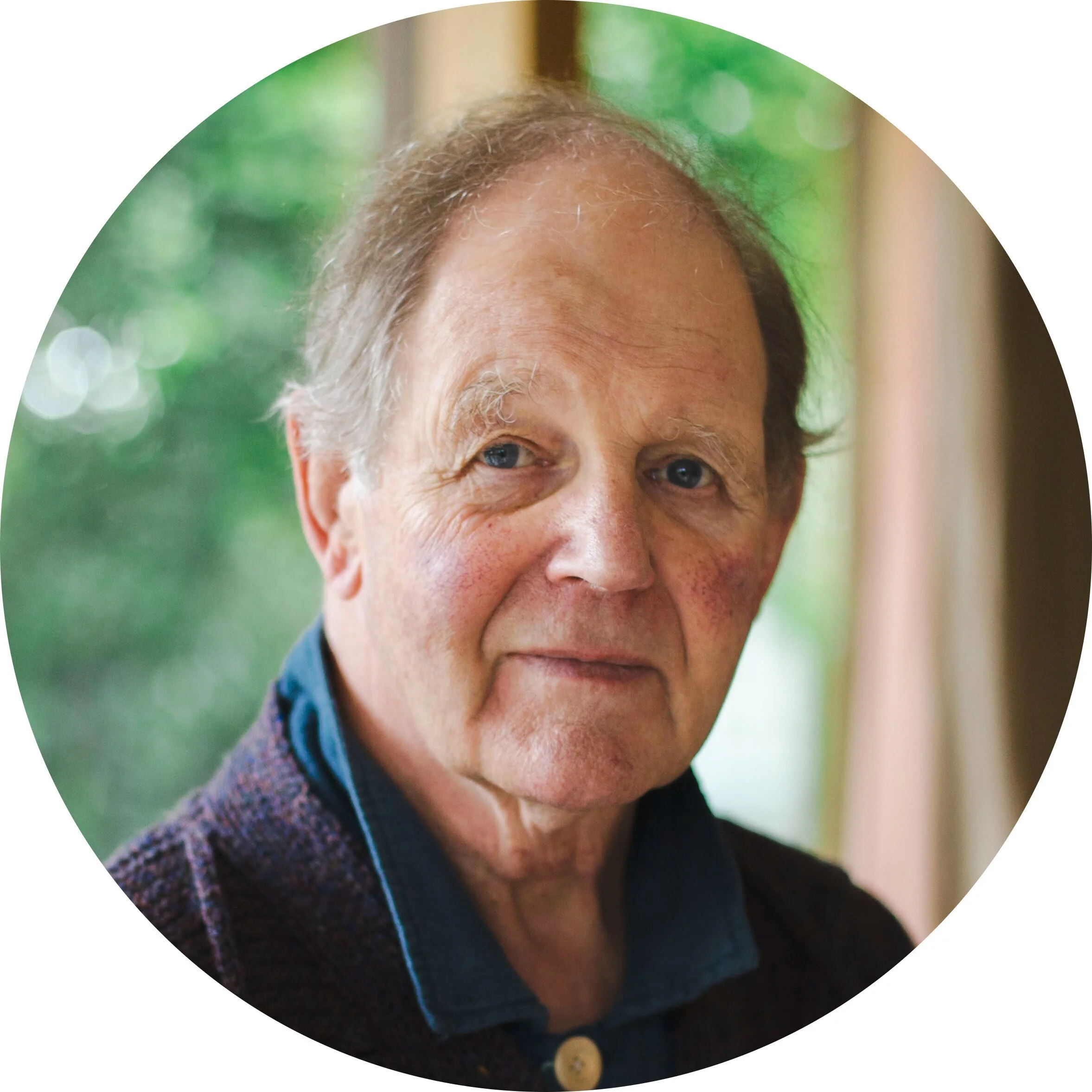 Michael Morpurgo on how his novel about a horse in the First World War gained a spectacular second life on stage and screen
