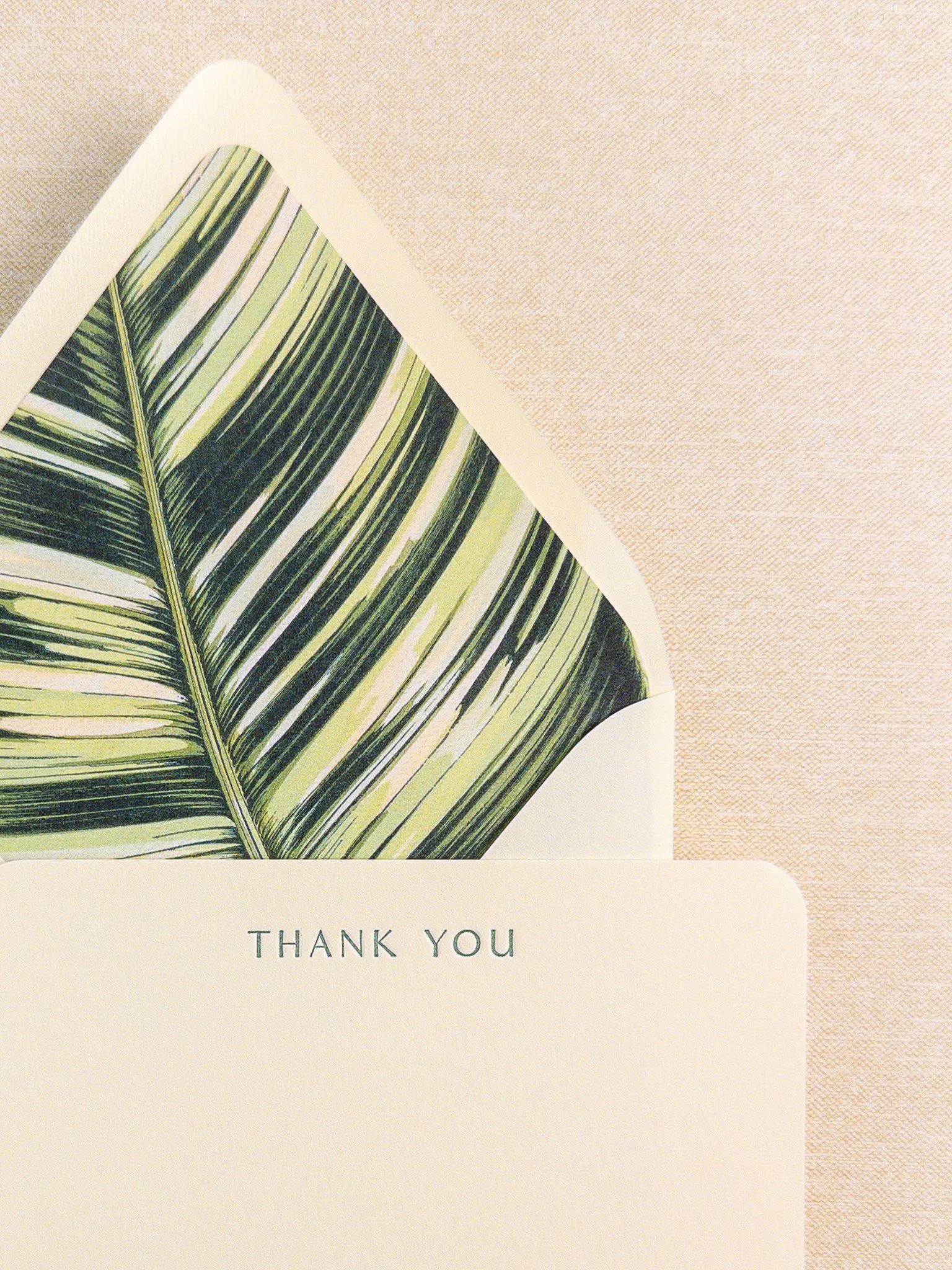 SP42_ForestLeafThankYou_1.jpg