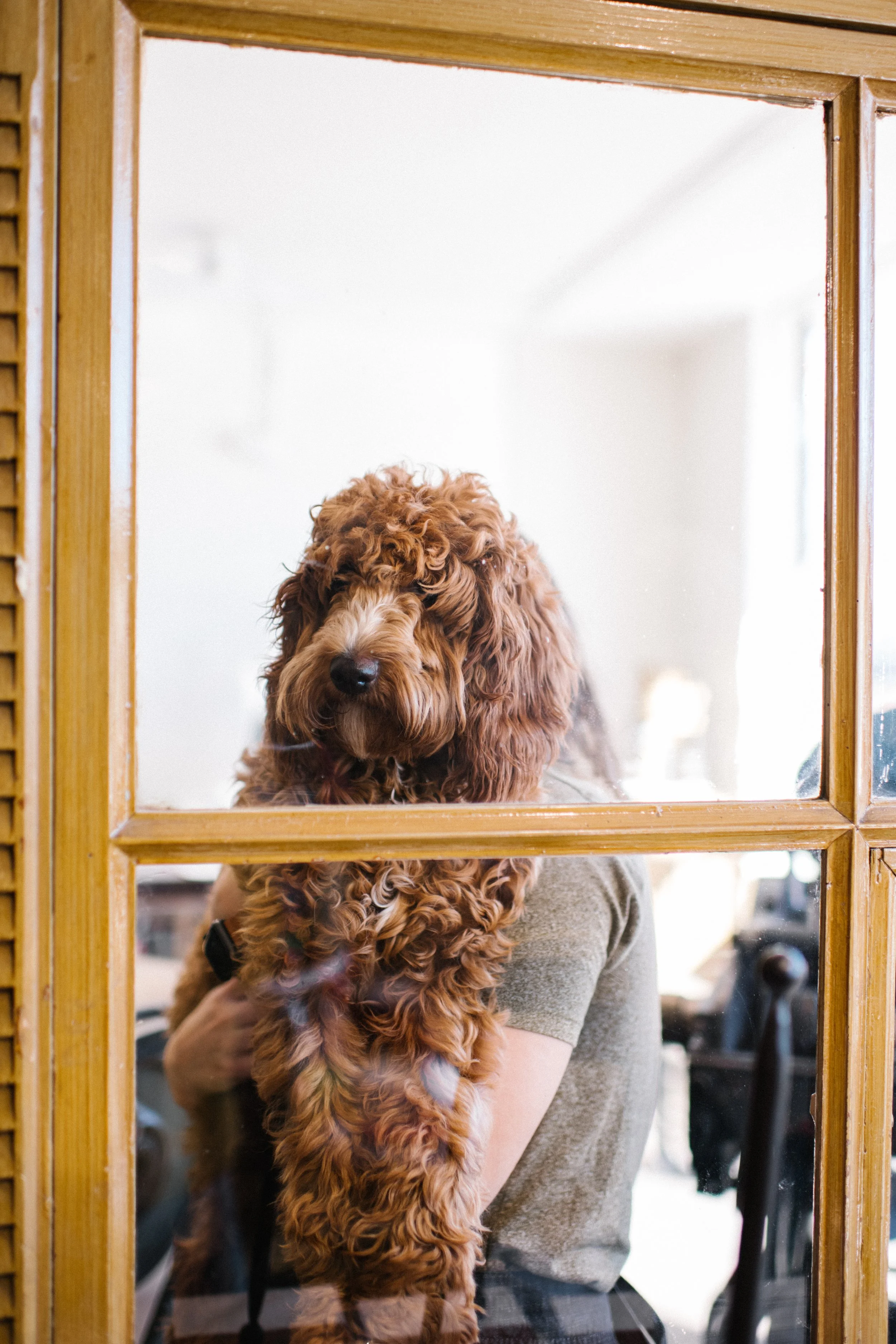 Closed on Thanksgiving Day