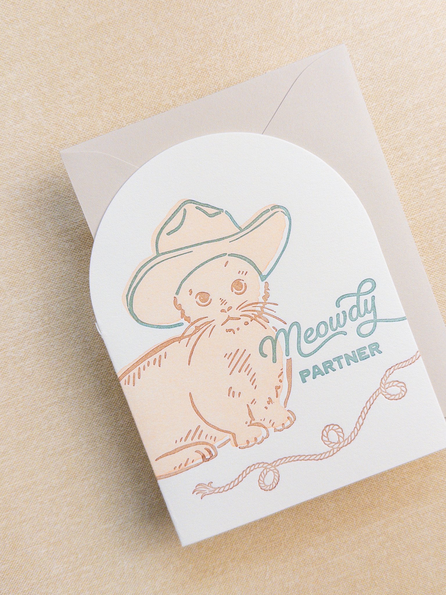 C327_Meowdy-2.jpg