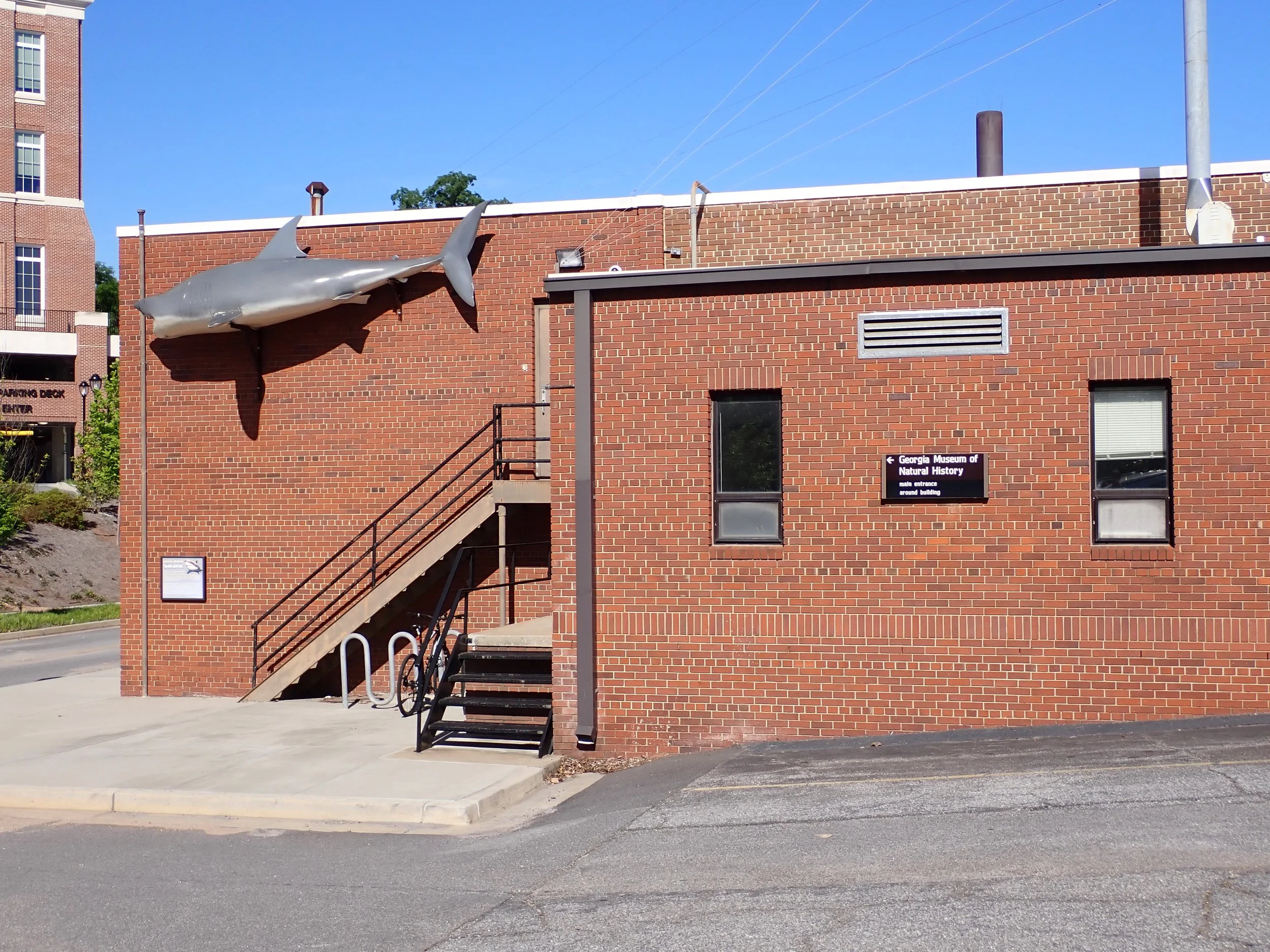 Next, we headed over to the Natural History Museum