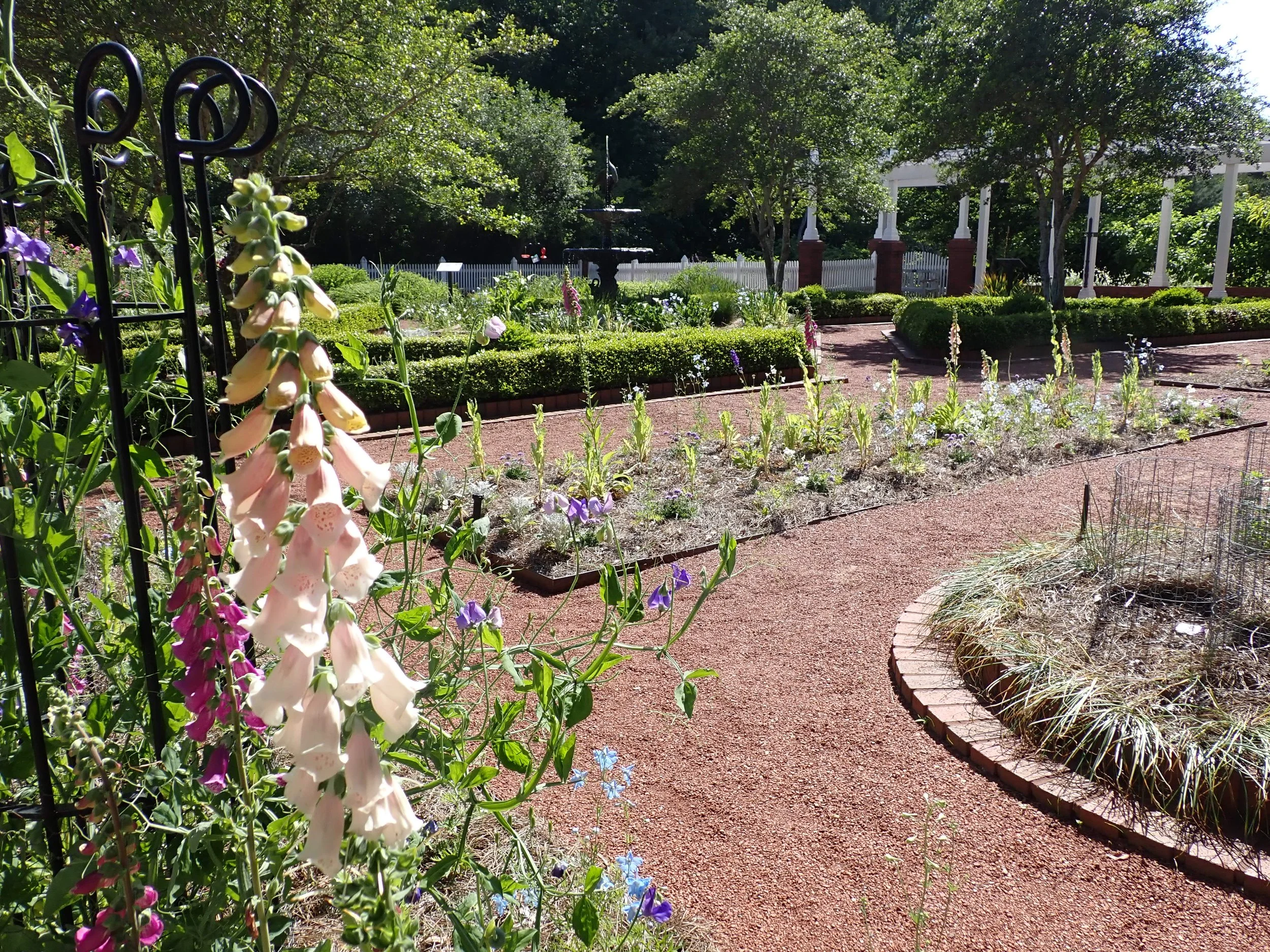 The verdant grounds were breathtaking, but regrettably also heavily infested with Asian Needle Ants